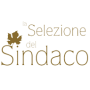 selezione-del-sindaco