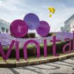 第53届维罗纳 Vinitaly 闭幕——史上最具规模